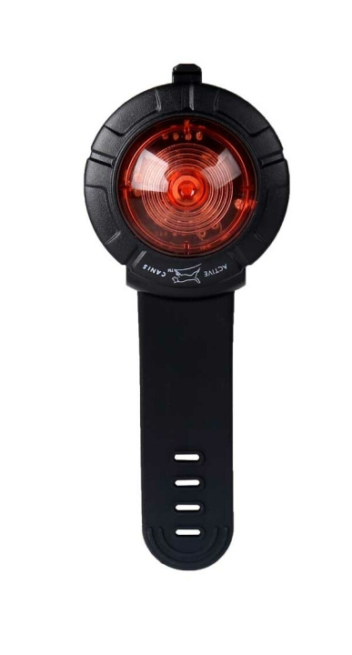 active canis Safety Lights Red Rechargeable - (48089) in the group HOME, HOUSEHOLD & GARDEN / Pet Accessories / Dog at TP E-commerce Nordic AB (D10830)