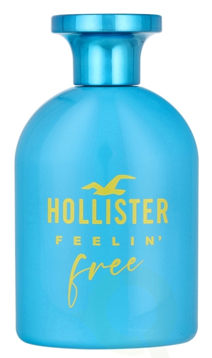 Hollister Feelin\' Free For Him Edt Spray 100 ml in the group BEAUTY & HEALTH / Fragrance & Perfume / Perfumes / Perfume for him at TP E-commerce Nordic AB (D11684)