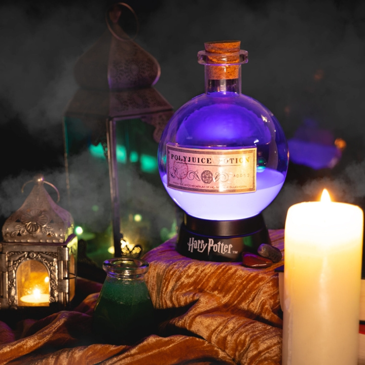 Fizz Creations Harry Potter Potion Lamp - Large in the group Sport, leisure & Hobby / Fun stuff / Fun stuff at TP E-commerce Nordic AB (D14066)