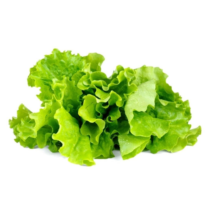 Click & Grow Smart Garden Refill 3-pack - Green Lettuce (SGR32X3) in the group Sport, leisure & Hobby / Fun stuff / Smart home at TP E-commerce Nordic AB (D14397)