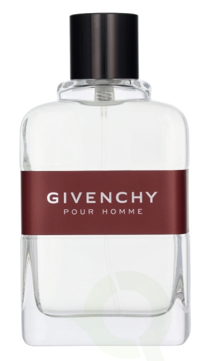 Givenchy Pour Homme Edt Spray 100 ml in the group BEAUTY & HEALTH / Fragrance & Perfume / Perfumes / Perfume for him at TP E-commerce Nordic AB (D14500)