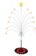 Table tennis training set Table tennis training set