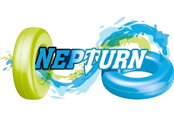 rc stunt car nepturn