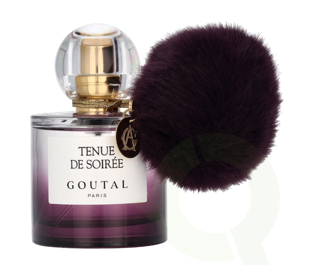 Buy Annick Goutal Tenue de Soiree Edp Spray 50 ml | Teknikproffset.eu